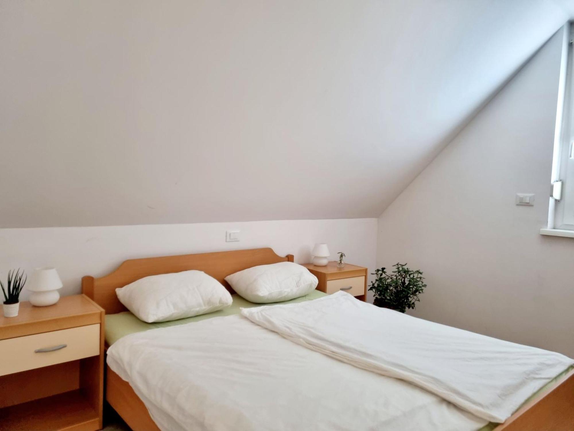 בובק Apartmaji Pri Ticelnu מראה חיצוני תמונה