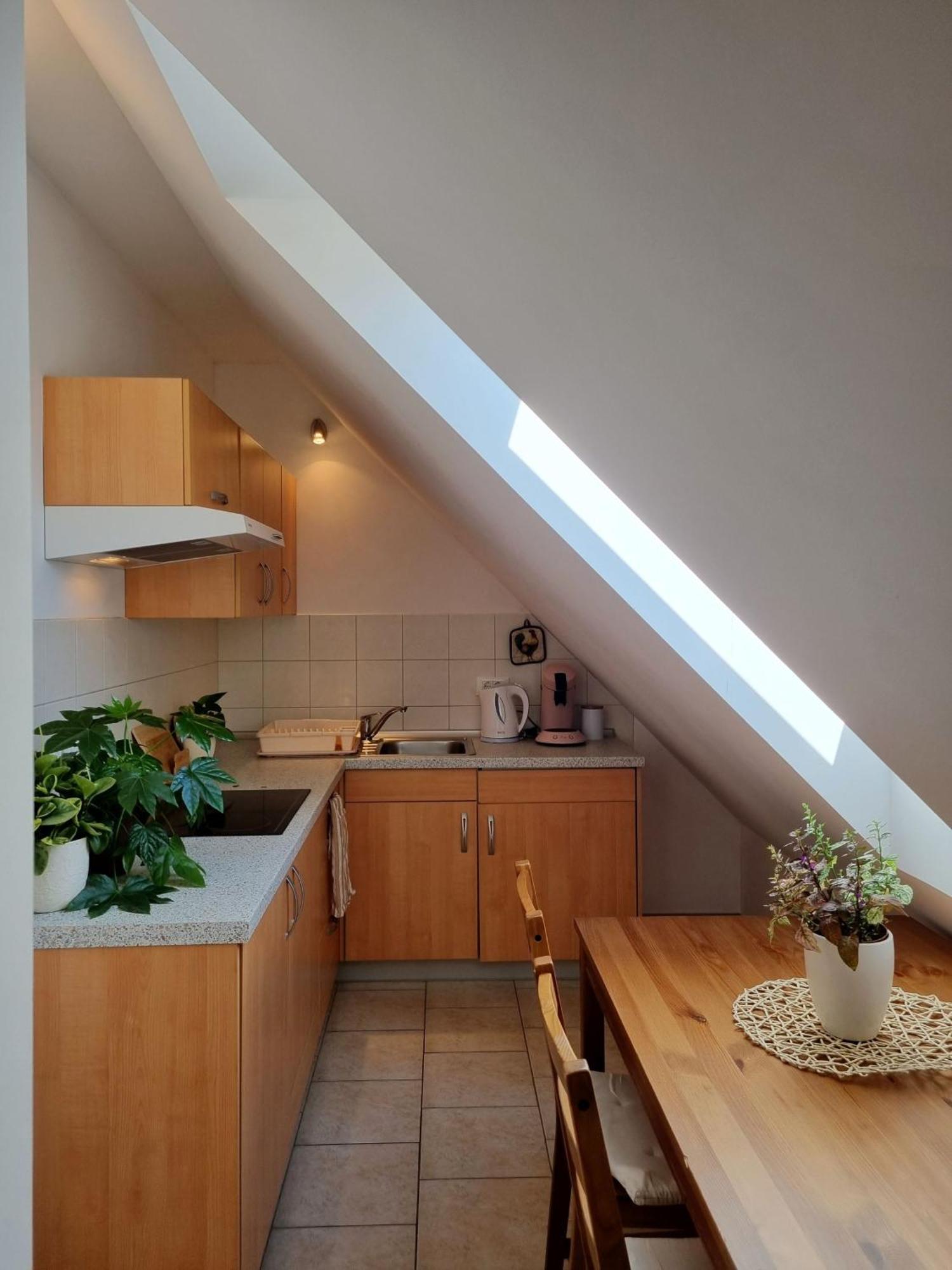 בובק Apartmaji Pri Ticelnu מראה חיצוני תמונה
