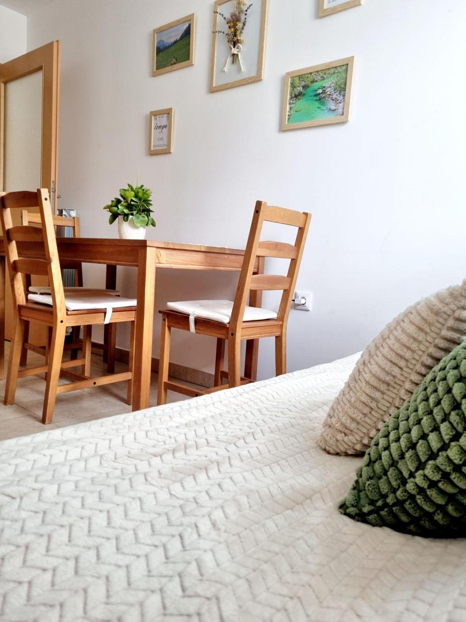 בובק Apartmaji Pri Ticelnu מראה חיצוני תמונה