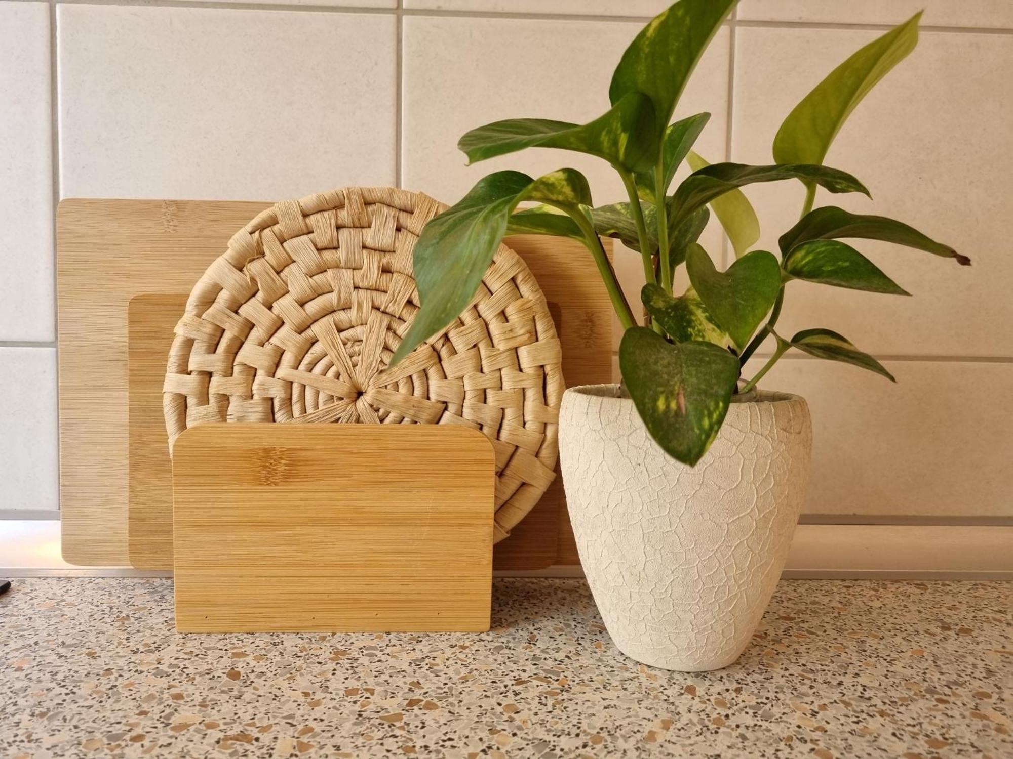 בובק Apartmaji Pri Ticelnu מראה חיצוני תמונה